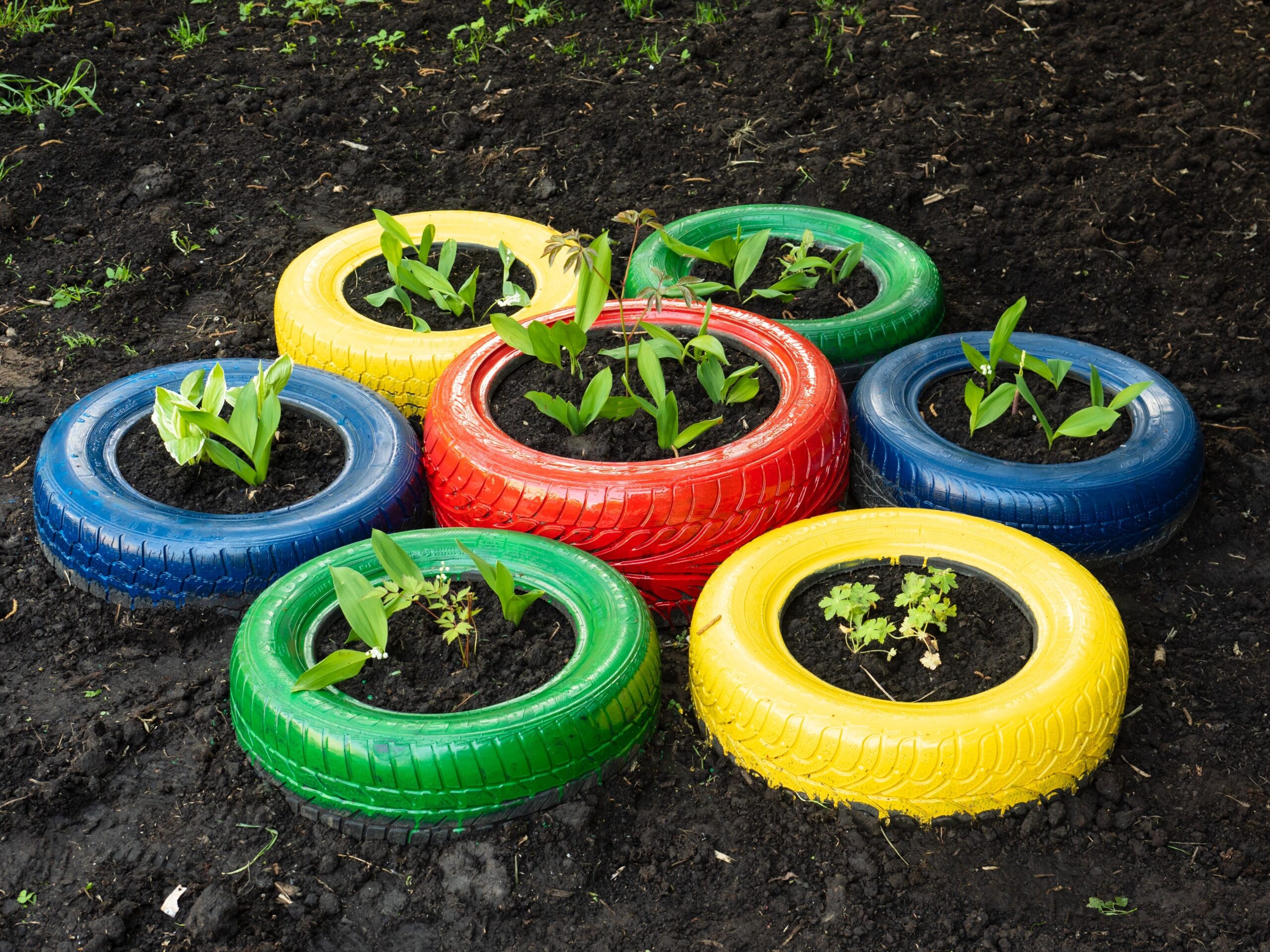 Jardinagem Sustentável: Como Criar um Jardim Ecológico