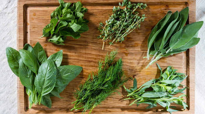 Ervas aromáticas: como cultivar um mini jardim de temperos em casa