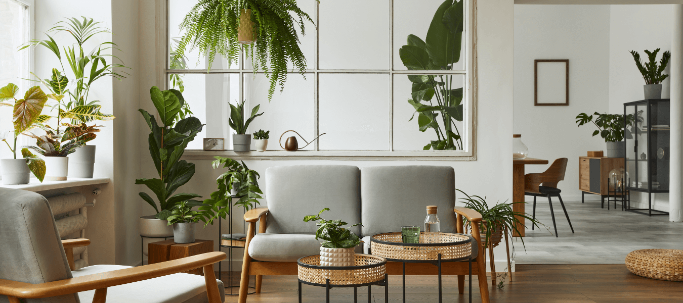 Nada Como uma Planta para Trazer Vida ao Ambiente