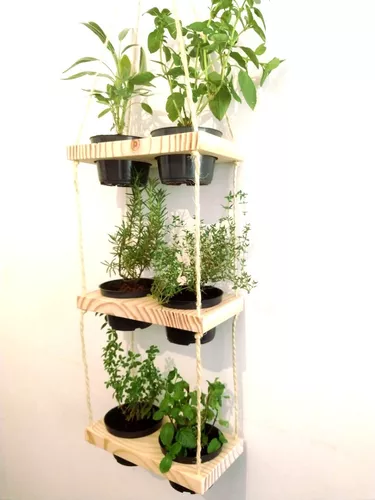 20250421-hcj-jardim-vasos